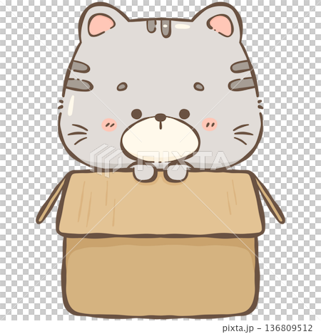 Little gray cat Little gray cat 136809512