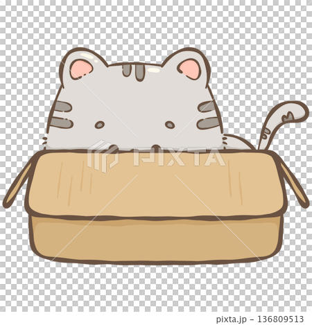 Little gray cat Little gray cat 136809513