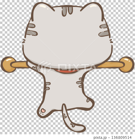Little gray cat Little gray cat 136809514