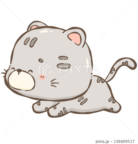 Little gray cat Little gray cat 136809517