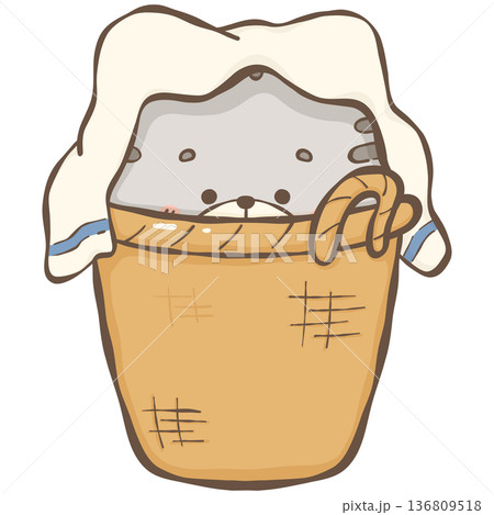 Little gray cat  136809518