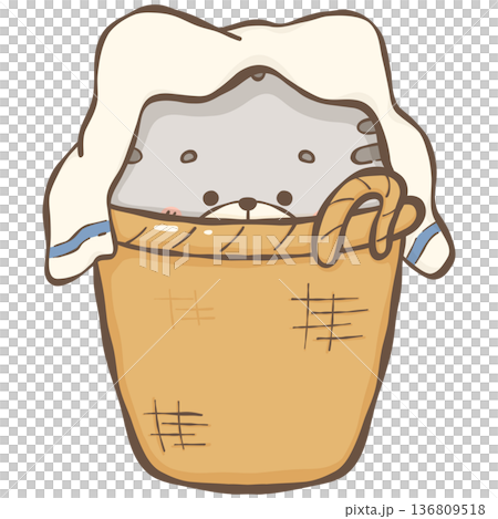 Little gray cat  136809518