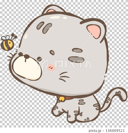 Little gray cat  136809521