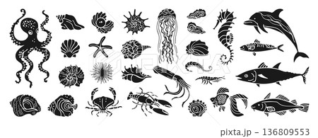 Underwater Marine Life Grunge Hand Drawn Stamp Nautical Illustration Set Seashells Ocean Retro Mood 136809553