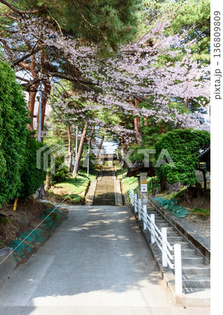 春の仙台市内を歩く 136809809