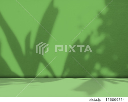 Green Shadow Background Studio Room Photo Empty Gradient Leaf Floor Wall Backdrop Muslin Design Canvas Surface Texture Podium Eco Scene Mockup Product Cosmetic Beauty Organic Display Stand Stage. Green Shadow Background Studio Room Photo Empty Gradient Leaf Floor Wall Backdrop Muslin Design Canvas Surface Texture Podium Eco Scene Mockup Product Cosmetic Beauty Organic Display Stand Stage. 136809834