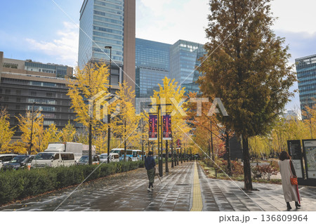 Nov 25 2025 Green Umekita Park Amid Skyscrapers in Osaka Umeda 136809964