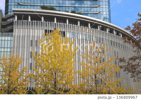 Nov 25 2025 Green Umekita Park Amid Skyscrapers in Osaka Umeda Nov 25 2025 Green Umekita Park Amid Skyscrapers in Osaka Umeda 136809967