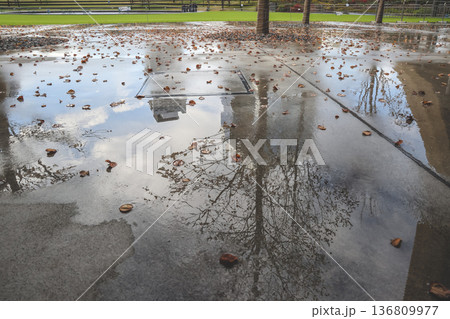 Nov 25 2025 Green Umekita Park Amid Skyscrapers in Osaka Umeda 136809977