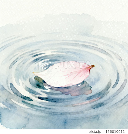 水面の桜の花びら 136810011