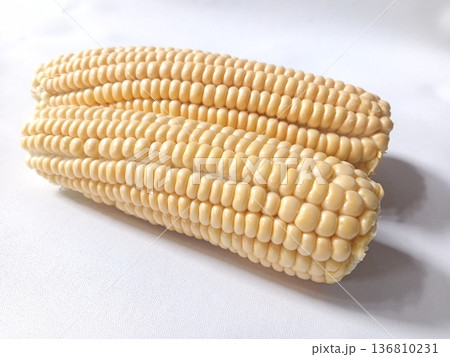 Two fresh corn cobs with pale yellow kernels, tightly packed and glossy, perfect for agriculture and culinary use Two fresh corn cobs with pale yellow kernels, tightly packed and glossy, perfect for agriculture and culinary use 136810231