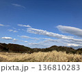 空 136810283