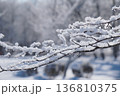 雪華 -ささめき- 136810375