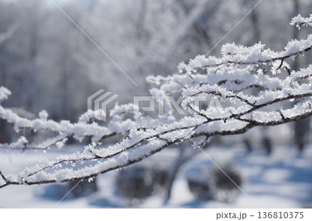 雪華 -ささめき- 雪華 -ささめき- 136810375