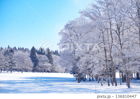 白銀の森 136810447