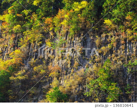 秋の奈良県曽爾村　紅葉に囲まれた屏風岩 136810641