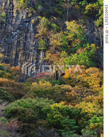 秋の奈良県曽爾村　紅葉に囲まれた屏風岩 136810643