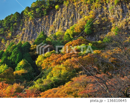 秋の奈良県曽爾村　紅葉に囲まれた屏風岩 136810645