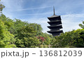 京都 東寺の五重塔と緑豊かな境内風景 136812039