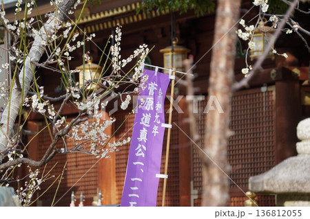 湯島天満宮の梅まつり 湯島天満宮の梅まつり 136812055