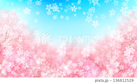 桜 春 風景 背景 桜 春 風景 背景 136812529