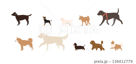 小型犬から大型犬までの散歩イラスト 136812779