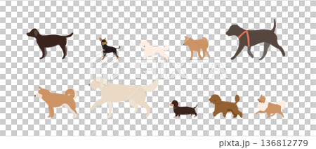 小型犬から大型犬までの散歩イラスト 136812779