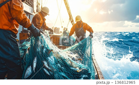 漁船の上で網を引き上げ魚や貝を漁獲する漁業作業風景 136812965