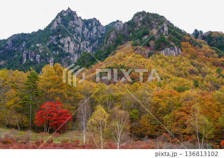 瑞牆山の紅葉 瑞牆山の紅葉 136813102