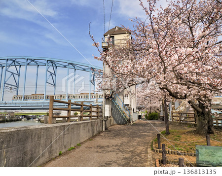東京メトロ東西線江戸川第一橋梁と境川西水門のサクラ 136813135