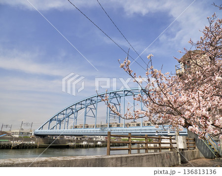 東京メトロ東西線江戸川第一橋梁と境川西水門のサクラ 東京メトロ東西線江戸川第一橋梁と境川西水門のサクラ 136813136