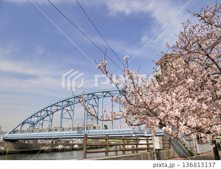 東京メトロ東西線江戸川第一橋梁と境川西水門のサクラ 東京メトロ東西線江戸川第一橋梁と境川西水門のサクラ 136813137