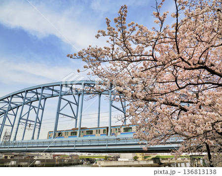 東京メトロ東西線江戸川第一橋梁と境川西水門のサクラ 東京メトロ東西線江戸川第一橋梁と境川西水門のサクラ 136813138