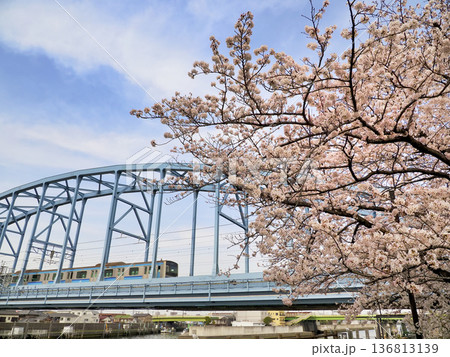 東京メトロ東西線江戸川第一橋梁と境川西水門のサクラ 136813139