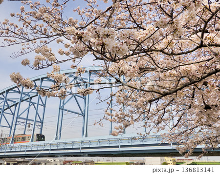 東京メトロ東西線江戸川第一橋梁と境川西水門のサクラ 東京メトロ東西線江戸川第一橋梁と境川西水門のサクラ 136813141