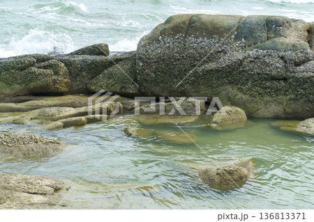 Large mossy rocks and barnacles on a rocky shoreline with turquoise ocean waves crashing in the background. A calm tidal pool sits among the stones. Natural coastal landscape scenery. 136813371
