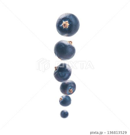 Juniper berries levitate on a white background 136813529