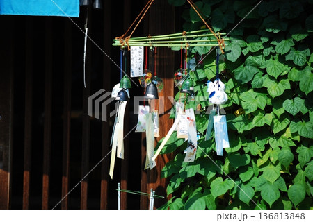 風に揺れる風鈴 136813848