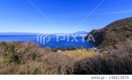 海越しに見る富士山 136813870