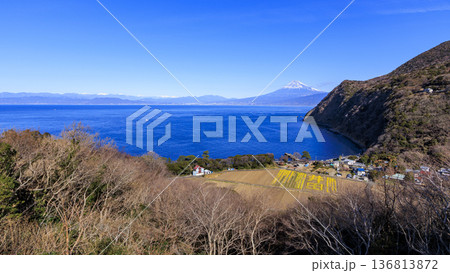 海越しに見る富士山 136813872