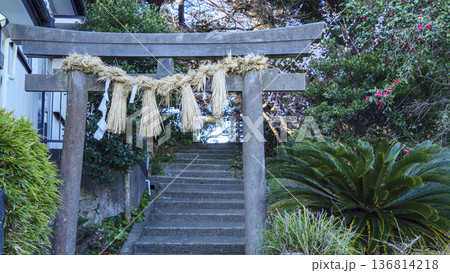 横須賀市荒崎の熊野神社 136814218