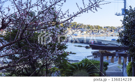 横須賀市荒崎の熊野神社 136814219