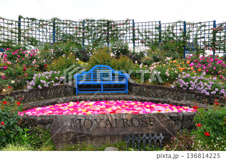 水俣エコパークバラ園 136814225