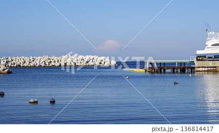 荒崎公園の冬 136814417