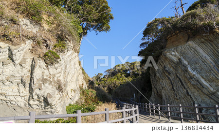 荒崎公園の冬 136814434