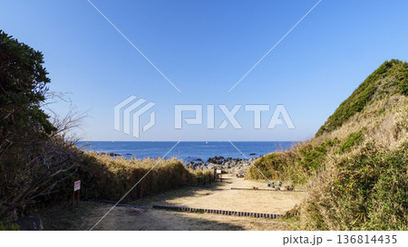 荒崎公園の冬 136814435
