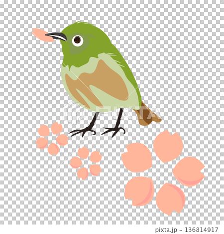 桜の花びらをくわえるメジロと桜のデザイン 136814917