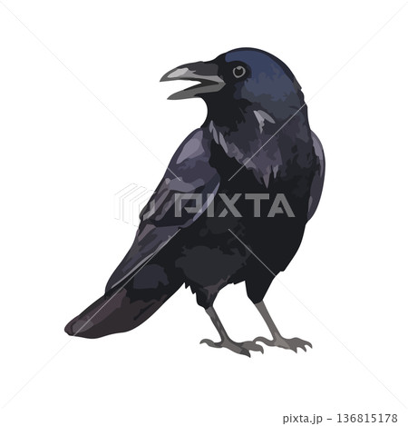 水彩風のカラスイラスト 136815178