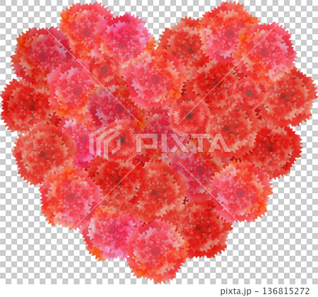 心形紅色康乃馨花束 136815272