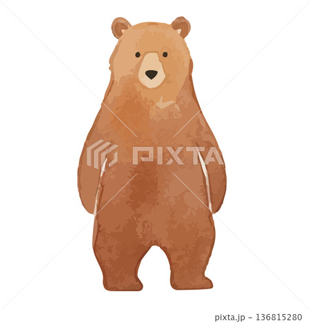 水彩風のクマのイラスト 水彩風のクマのイラスト 136815280